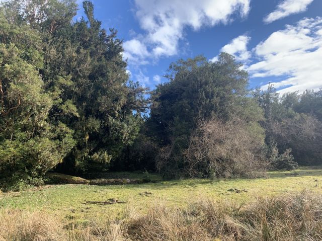 Venta Campo Turistico Ubicado en Puerto Cisnes, 800 has.-