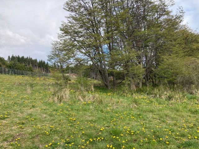 Parcela en Condominio Las Lomas, Coyhaique