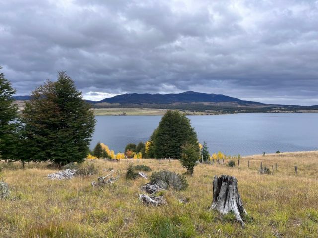 Parcela con vista Lago Póllux, Coyhaique. Acceso al Lago y muelle
